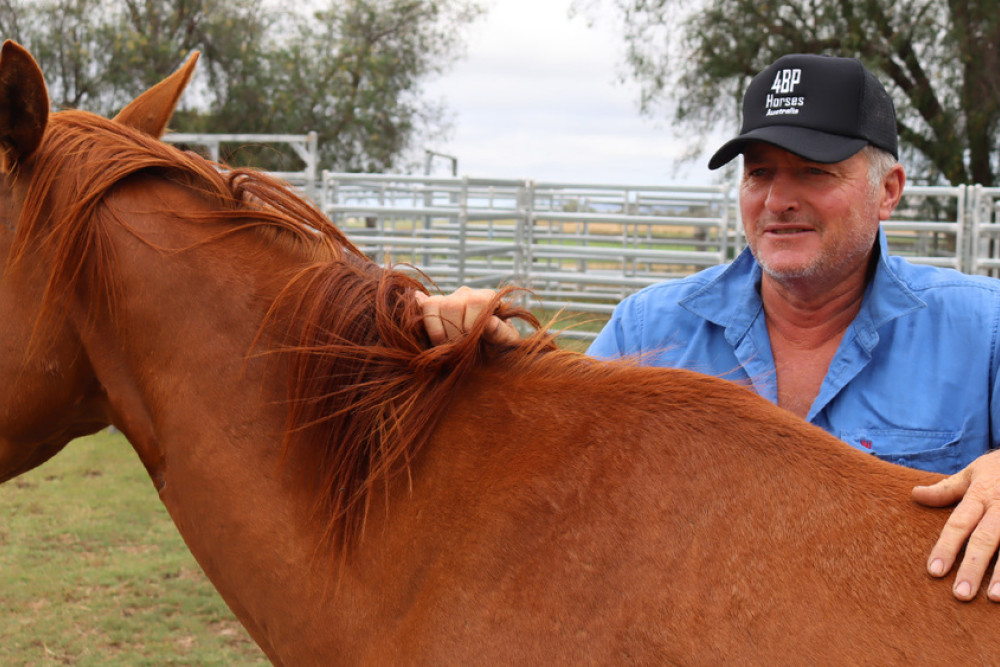 At an East Greenmount property, Joe Hughes is harnessing the power of horses to help people.