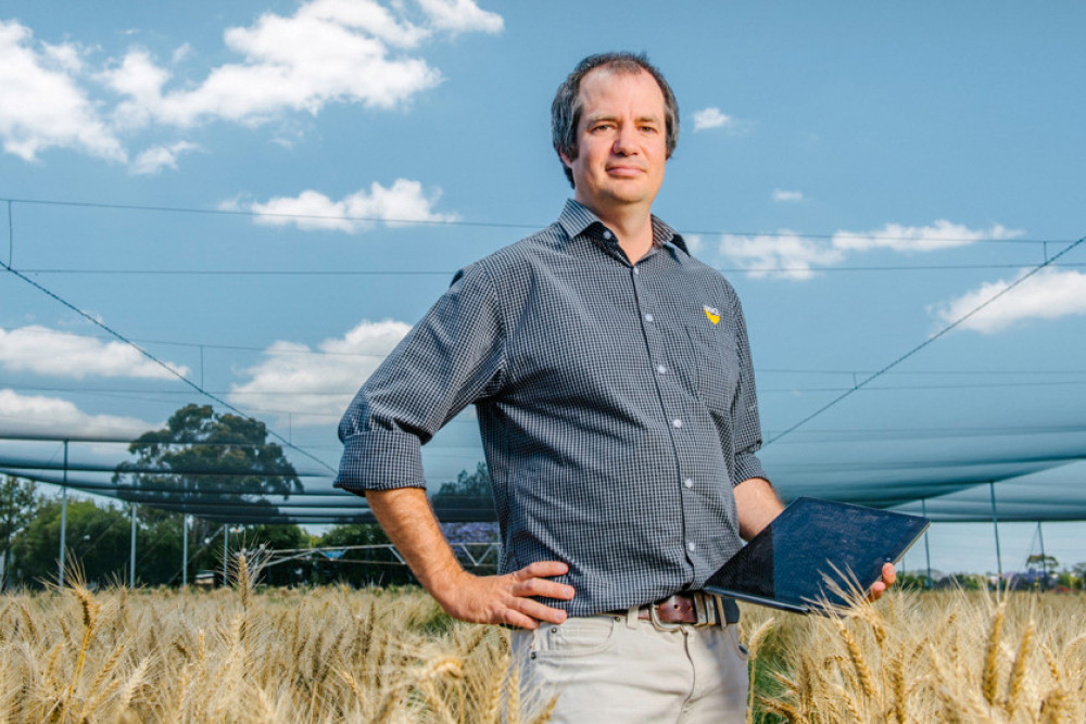 Lead researcher Associate Professor Keith Pembleton says new training material will allow the research team to upskill growers to identify and quantify key climate and drought risks.