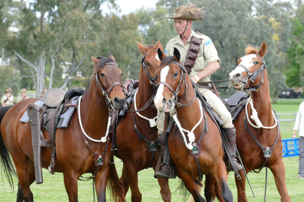 Light horse event salutes war history - feature photo