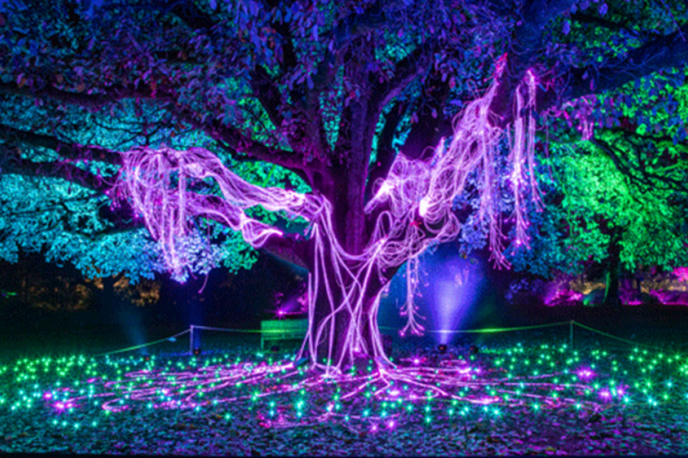 Laser light show for Toowoomba - feature photo