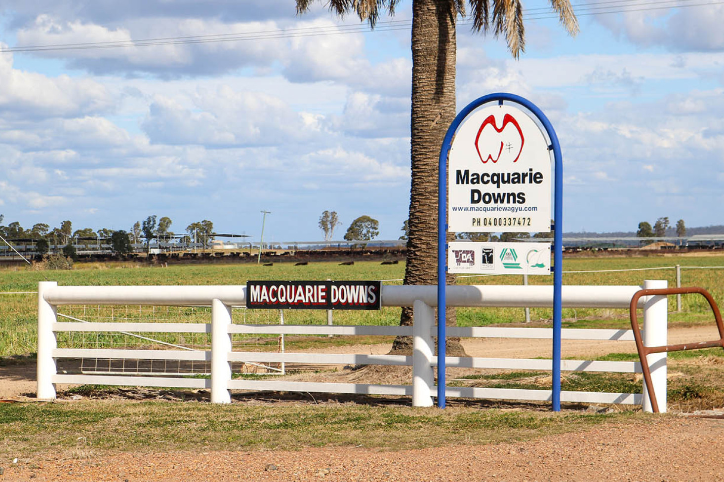 Macquarie Downs finalist in national competitio - feature photo