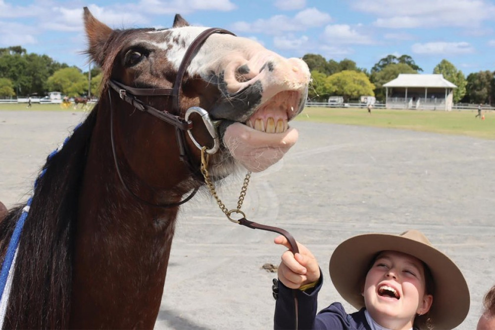 Maggie and Matilda share a private joke at the Heavy Horse Festival.