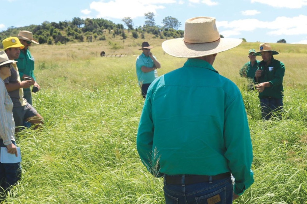 Working With Nature Neds Field Day Our News Clifton Courier