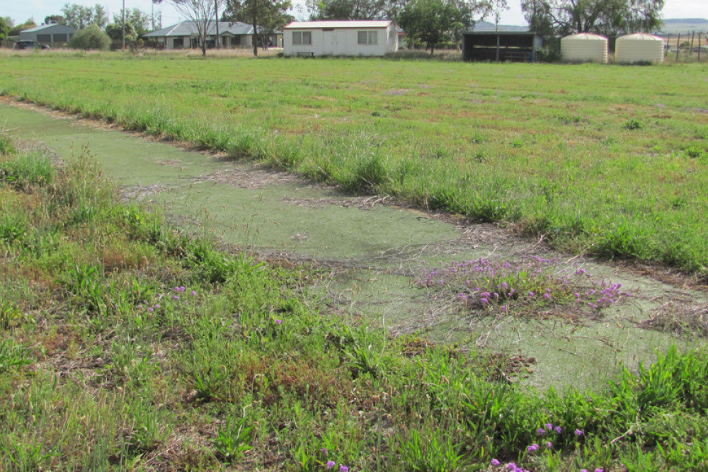 Although less cricket has been played at Nobby Cricket Ground over the past few years, it still remains a treasured spot for the many who bowled, batted and fielded there over the decades.