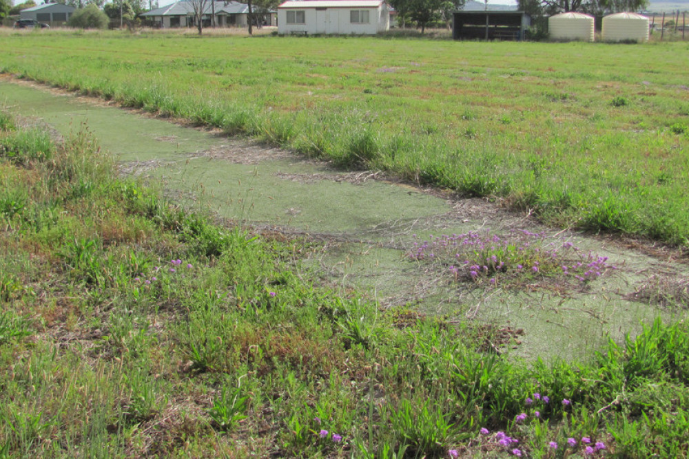 While the structures and facilities are intact, the Nobby Recreation Ground has fallen into disrepair in recent years.