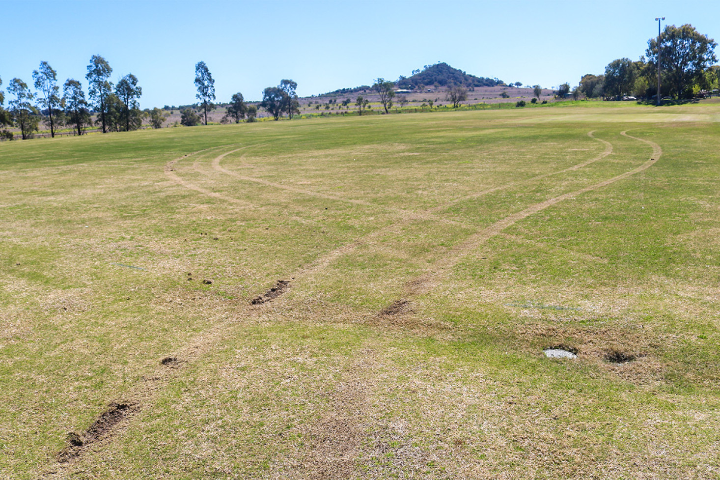 The Kingsthorpe Recreation Reserve was damaged by a person driving a vehicle on the weekend.