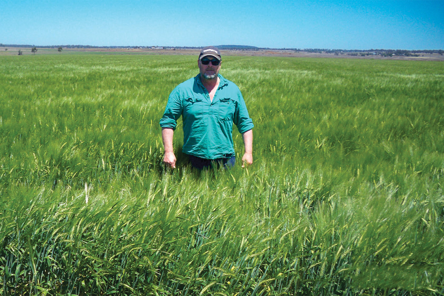 Peter Anderson (Oakey) pictured in his excellent first placed barley crop of Fandaga variety.