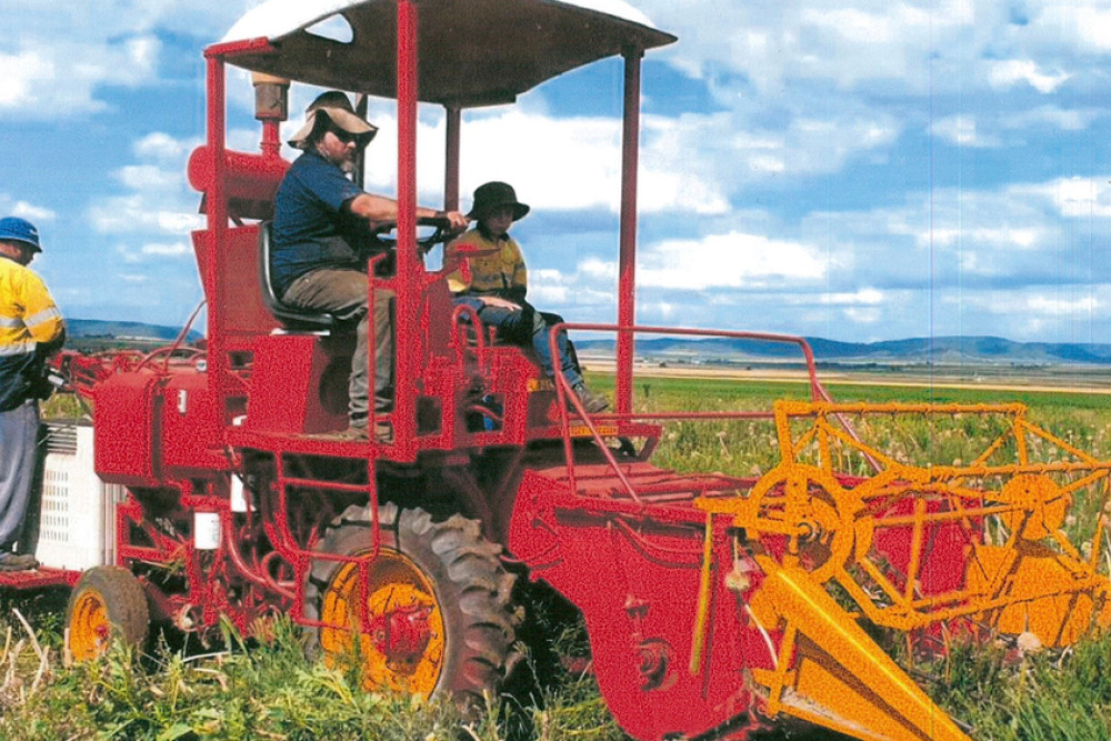 Josh Mengel’s reconstructed Massey Ferguson header is now an onion seed harvester, now quite different to what it looked like before it met with a low level bridge in Toowoomba.