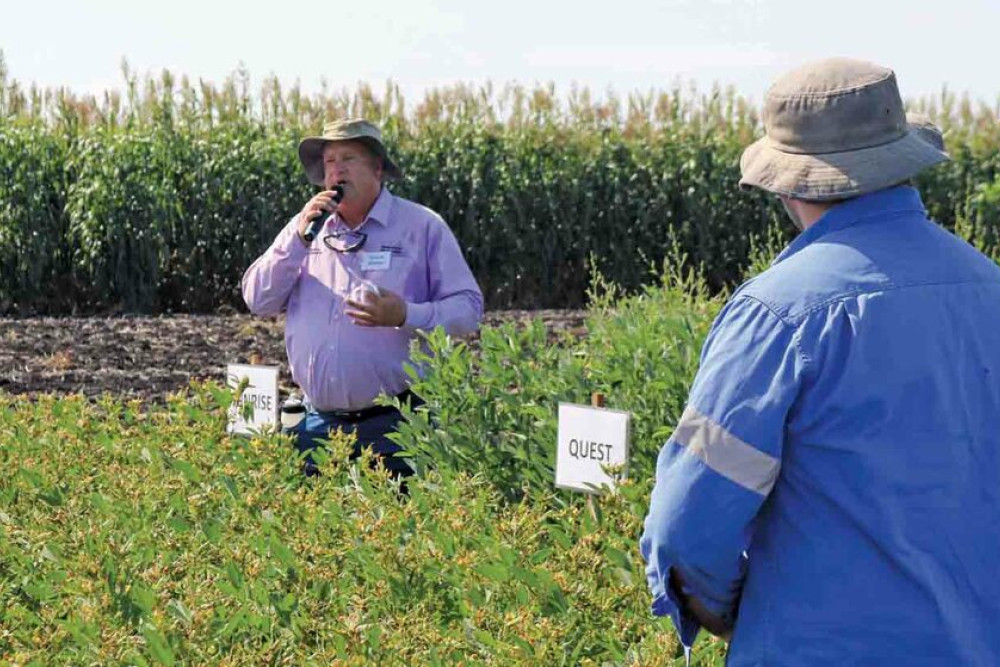 Bruce Winter spoke about each of the varieties of pigeonpea on trial at the Tosari Crop Research Centre at Yandilla.