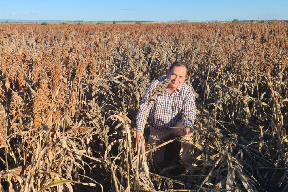 UQ researcher Professor David Jordan will lead the project.