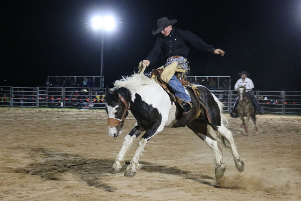 The rodeo events brought excitement to the crowd... at the expense of the riders.