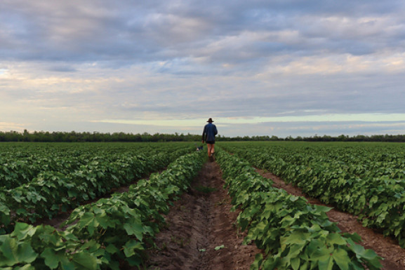 One of the winners from last Amie Hosking, captured this shot at Moura in Central Queensland.