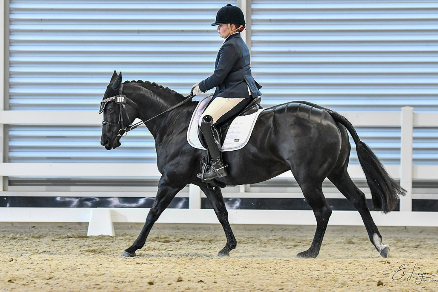 Clifton State High School student Shelby Turl competes at the state level in at the Queensland State Equestrian Centre.