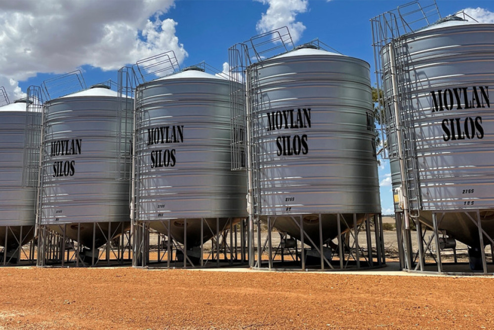 Grain spills around sheds and silos at this time of year can supply a feed sauce for vermin and insect pests.