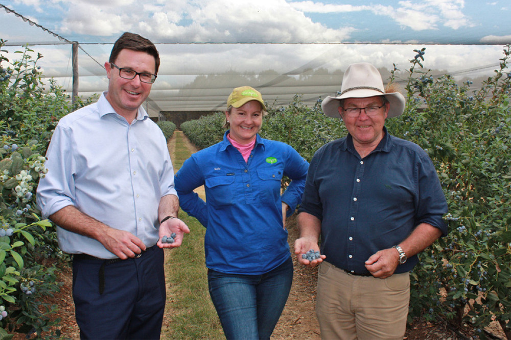 David Littleproud, Sally and Colin Boyce at Smart Blueberries.