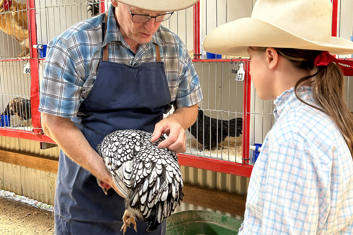 $40,000 commitment to poultry club - feature photo