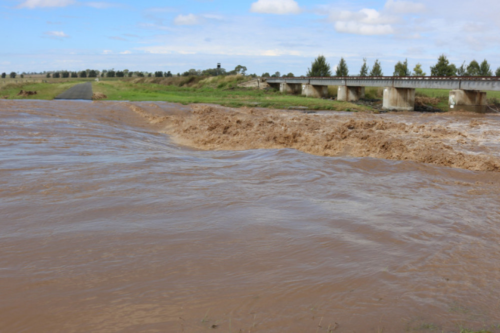 Last Monday morning, Spring Creek just south of Clifton was a raging torrent following the heavy overnight rain upstream.