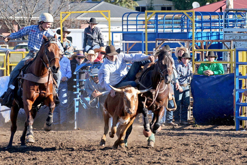 Praise flows for Pittsworth Pro Rodeo - feature photo