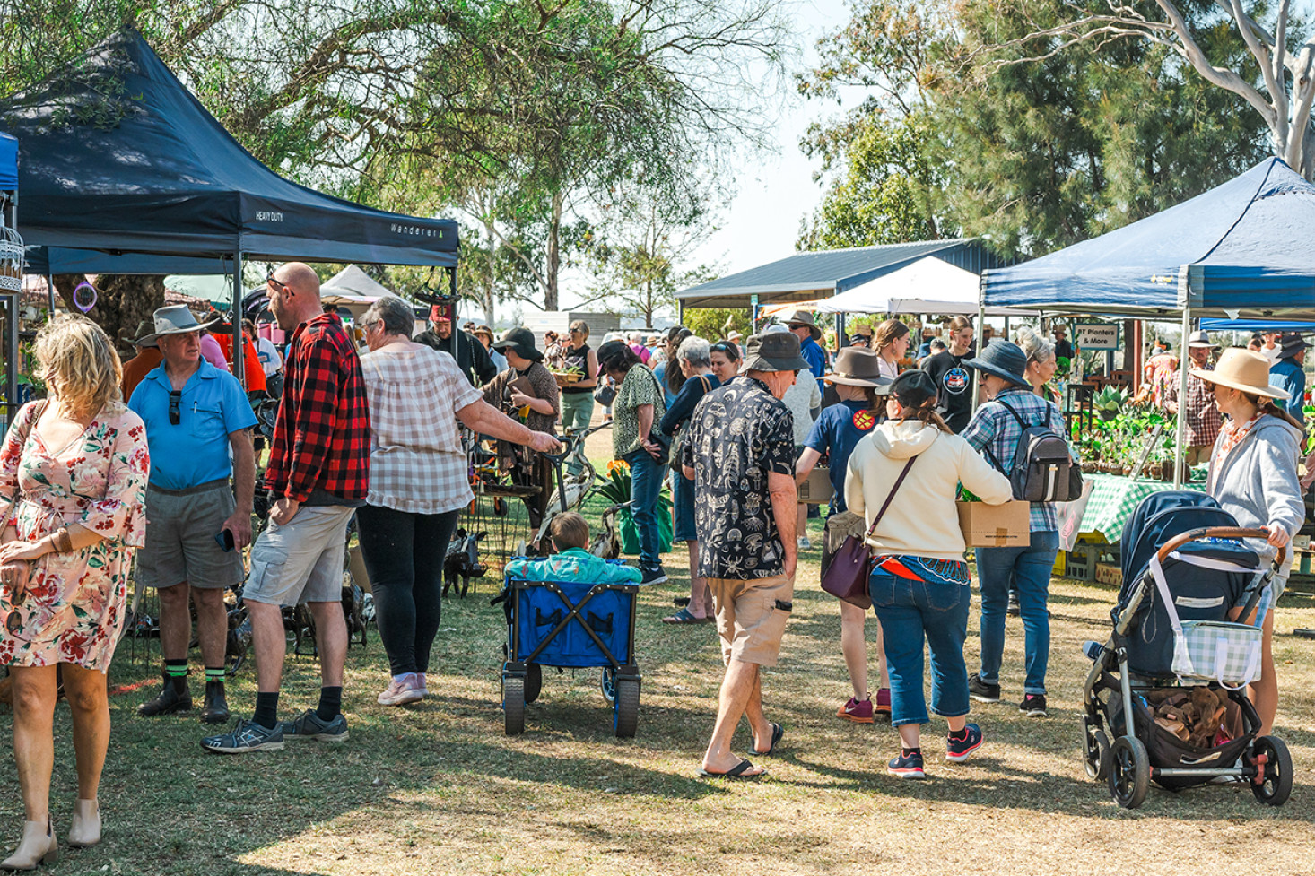 A large crowd arrived at Bunker’s Hill State School in September for Succulent Fest, enjoying the plants and many other market stalls.