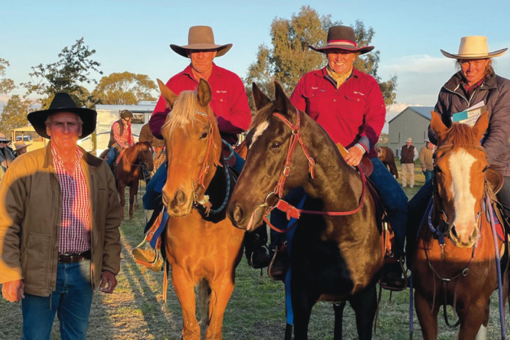 Team Penning results - feature photo