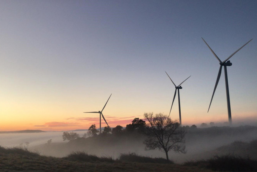 Forums to lift lid on wind farm project - feature photo