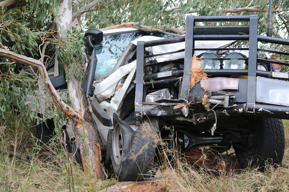 Several trees and a four-wheel-drive utility were seriously damaged in the crash on Clifton-Leyburn Road, but the driver appeared to have had luck on his side.