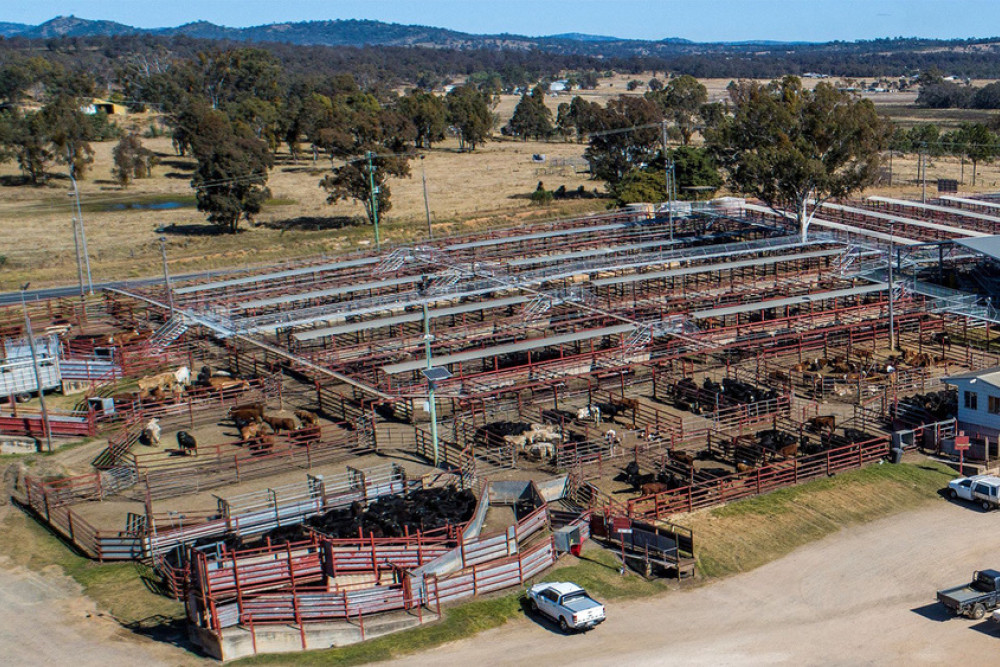 SDRC and agents clash over Warwick Saleyards redevelopment - feature photo