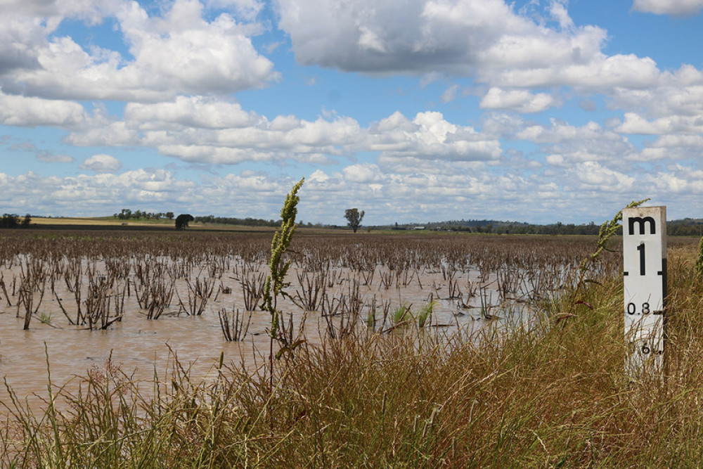 A waterlogged paddock on Ryeford Pratten Road at Victoria Hill earlier this month.