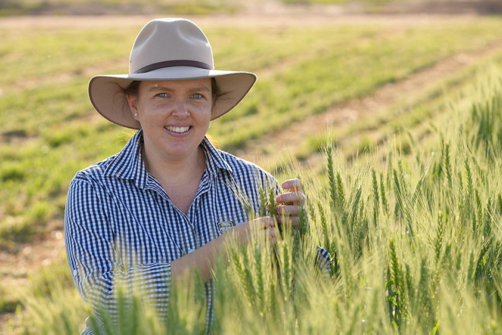 University of Sydney Agricultural Scientist, Dr Rebecca Thistlethwaite is working to identify the most heat tolerant genes in wheat so they can be incorporated into new and existing lines. Photo, GRDC