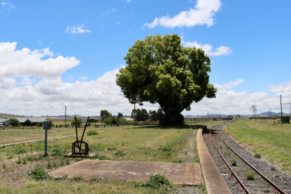 The proposed rail trail between Westbrook and Wyreema was identified in the report as a tourist opportunity.