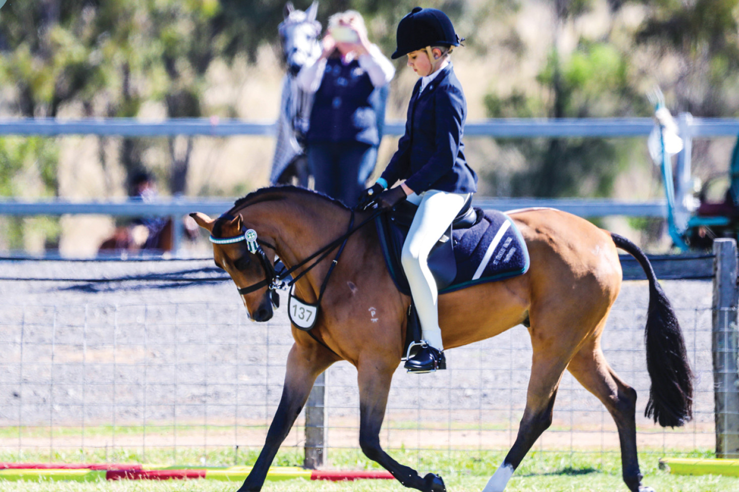 Peyton Alexander-Smith had a successful weekend at the Interschool Darling Downs and South West Qld Regional Championships riding both Tanglewood Park Statesman, Archie and Cheraton Brandy Snap, Buddy (pictured).